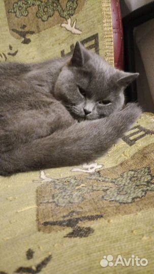 Вязка