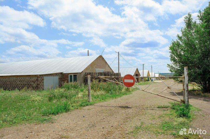 Фермерское хозяйство