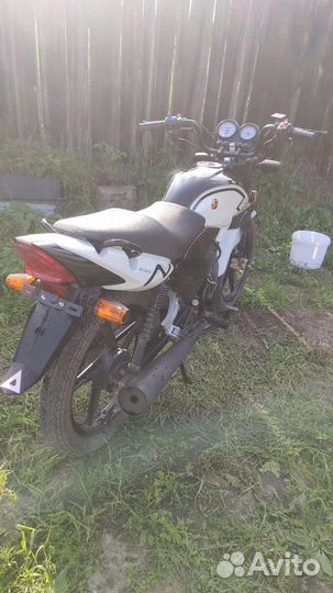 Racer RC150-23 Tiger