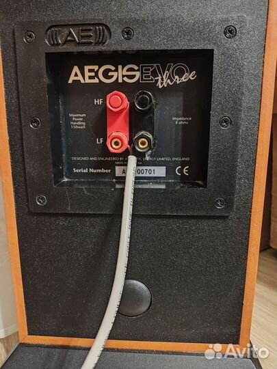 Акустика Acoustic Energy Aegis Evo Three