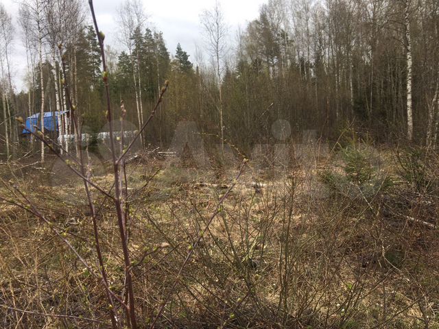 земельный участок приморск