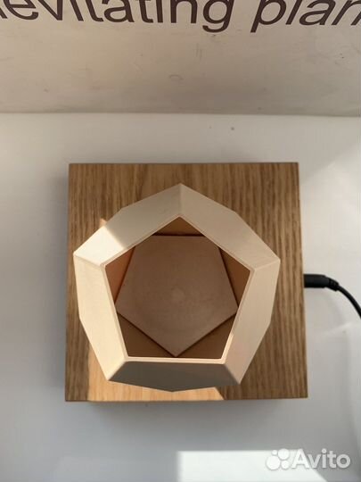 Левитирующий (парящий) горшок Leplant