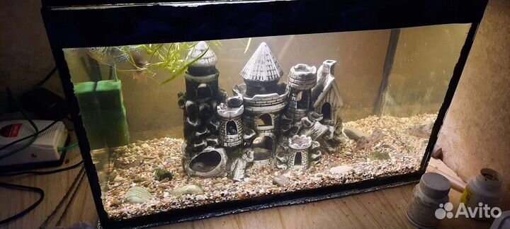 Аквариум