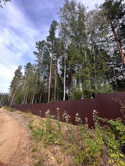 Участок 12,5 сот. (СНТ, ДНП)