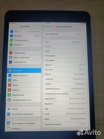 iPad mini