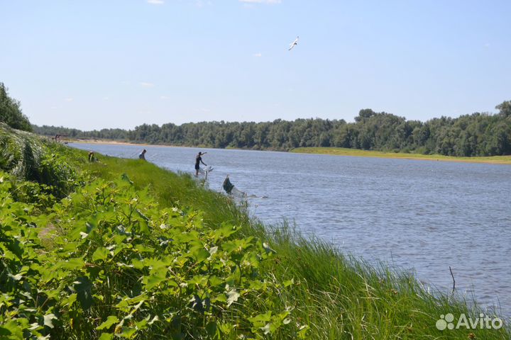 Рыбалка в Астрахани