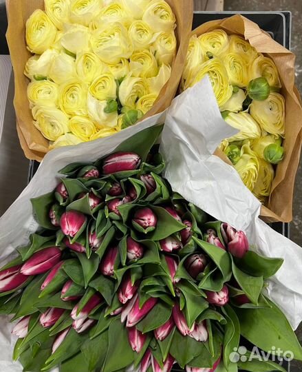 Тюльпаны - букет цветов или пачками
