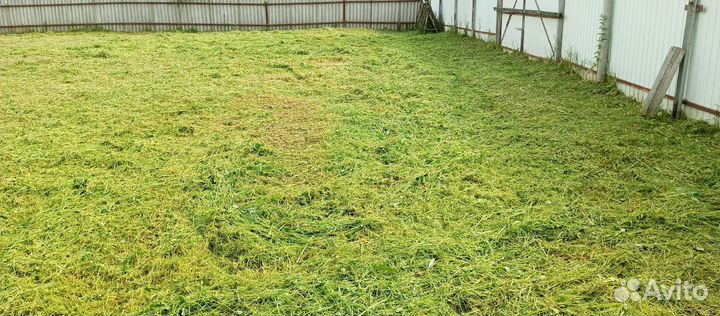 Покос травы триммером