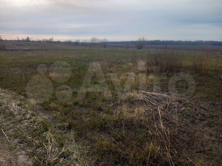 Участок 5,18 га (СНТ, ДНП)