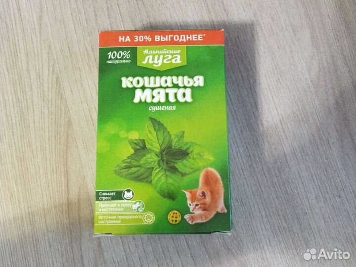 Кошачья мята