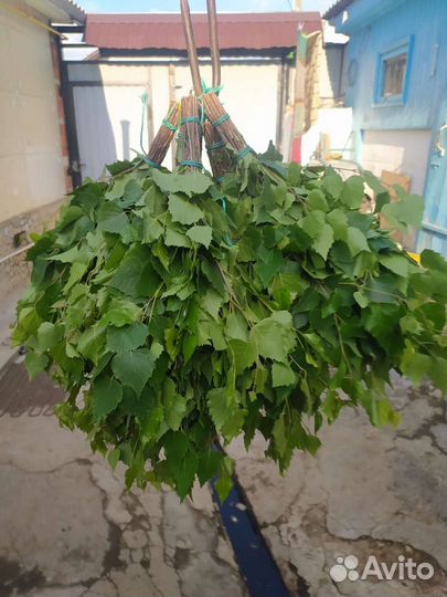 Березовые веники