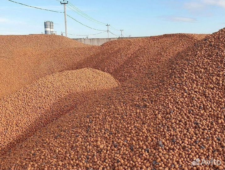Керамзит от производителя