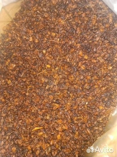 Облепиха сушёная на Масло,чай