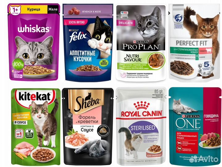 Влажный корм для кошек в ассортименте