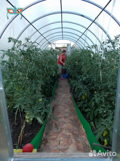 Фасовщики овощей вахта