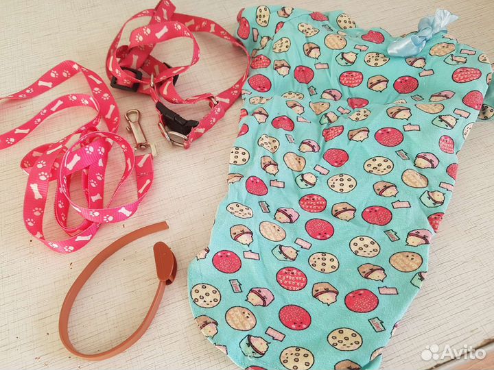 Аксесуары для кошек