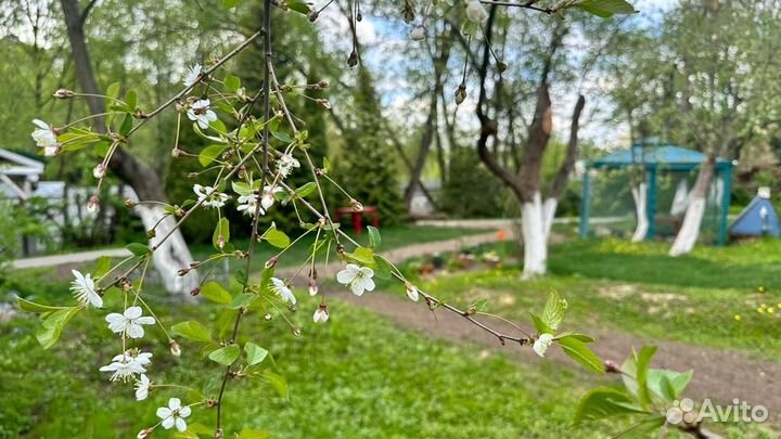 Аренда беседки, шатра. Мангал