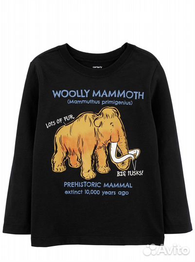 Лонгслив Carters на мальчика 2t