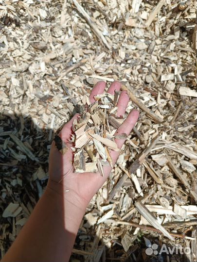 Опилки(щепа)