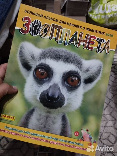 Альбомы панини