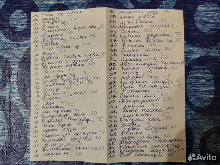 Фиалки сортовые,листы на срез