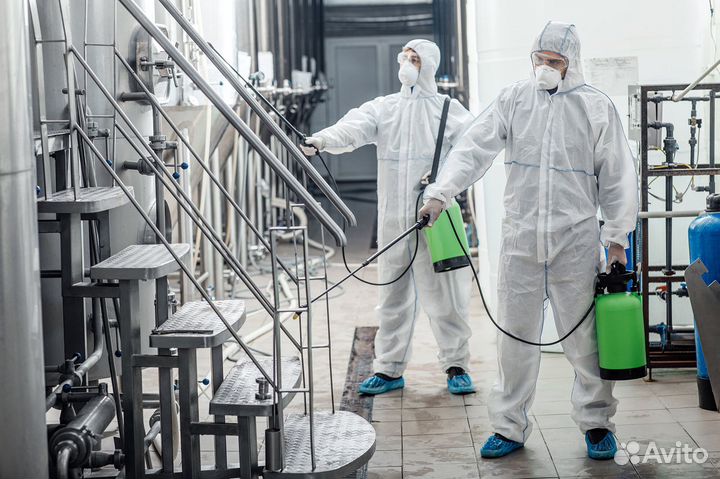 Дезинсекция / Уничтожение тараканов, клопов