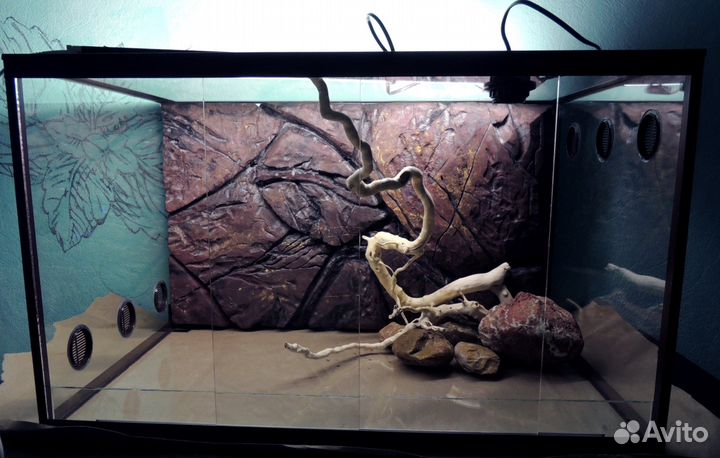 Террариумы для бородатой агамы, змей, эублефаров