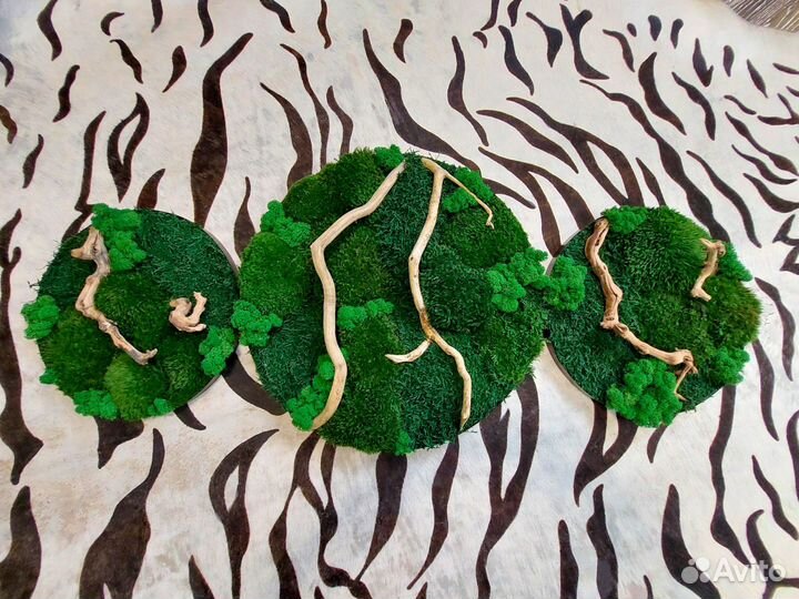 Панно картина стабилизированный мох подарок