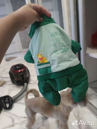 Собачий костюм