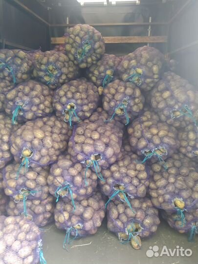 Картофель