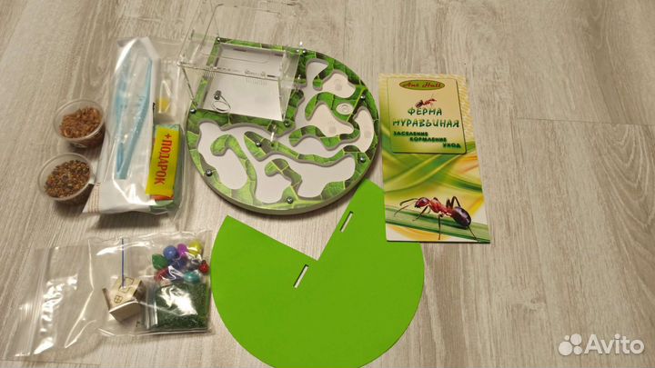 Муравьиная ферма (формикарий)