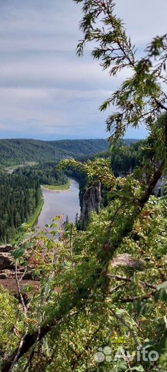 Катание на моторной лодке