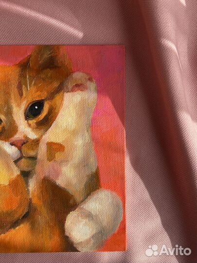 Котик. Картина маслом