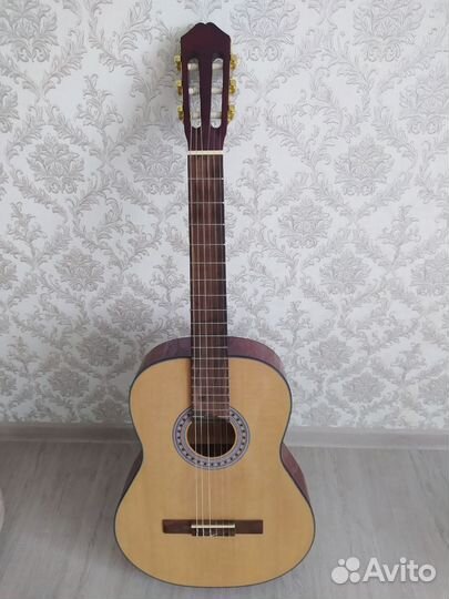 Акустическая гитара caraya c950n