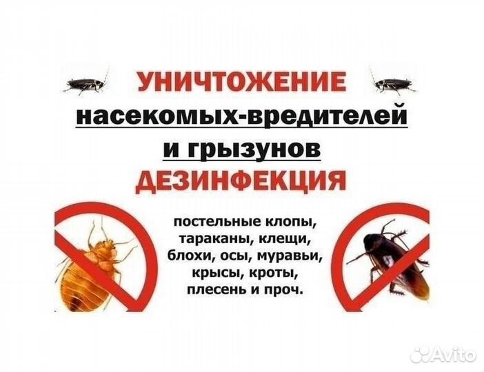 Уничтожение насекомых дезинфектор