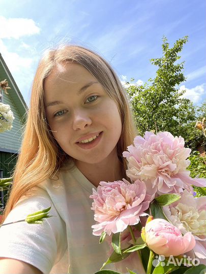 Репетитор по математике