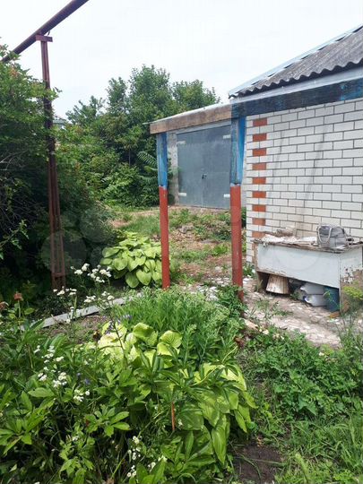 Дом 47,9 м² на участке 19,7 сот.