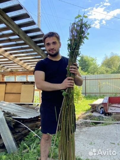 Свой человек в козельске