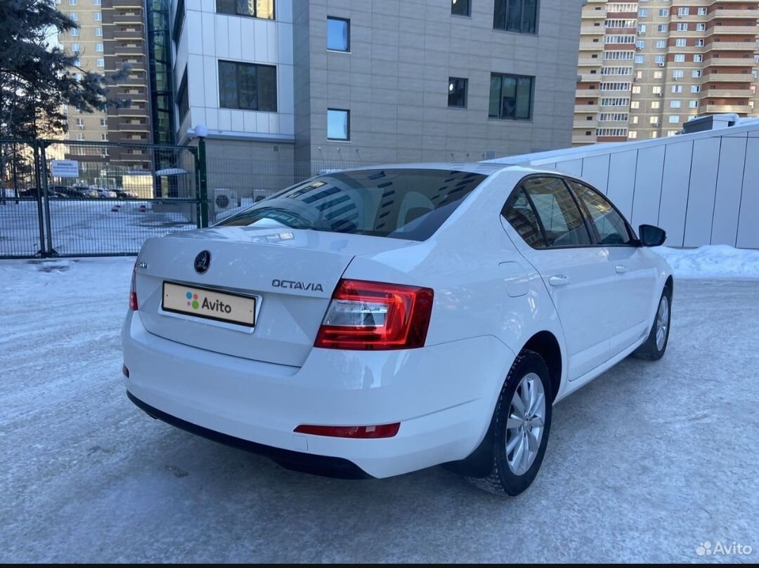 Skoda Octavia: фото владельца