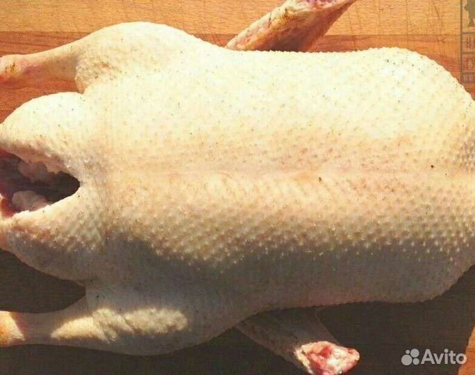 Мясо утки, кролика, бройлера, индейки