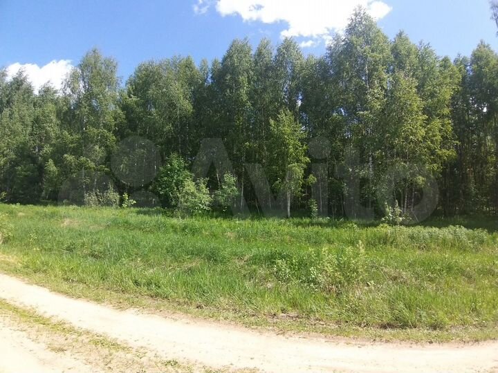 Участок 12,1 сот. (СНТ, ДНП)