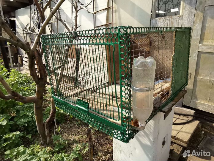 Клетка для кроликов