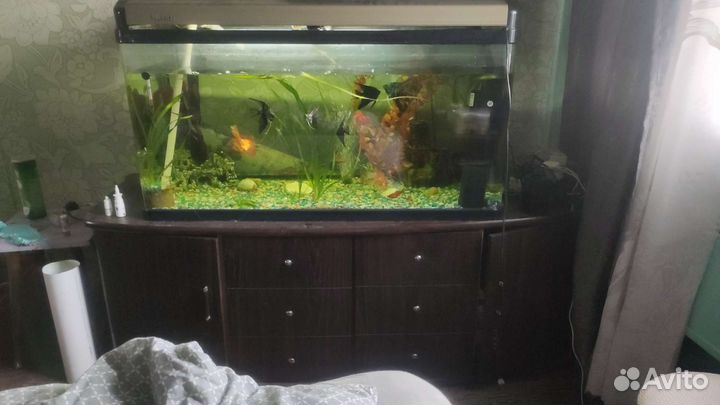 Аквариум