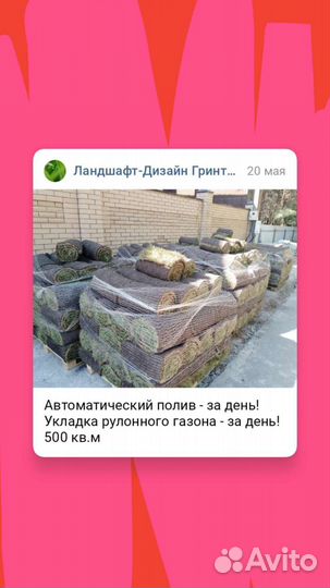 Рулонный газон мятлик продажа и укладка