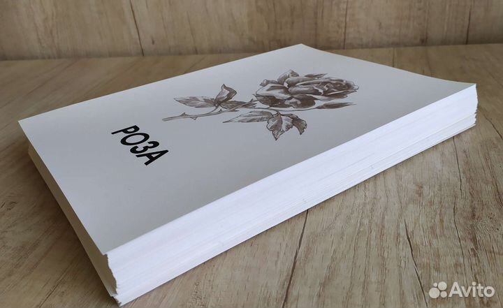 Учебные пособия 