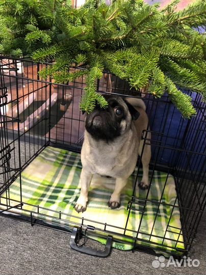 Клетка для собак металлический поддон магазин новы