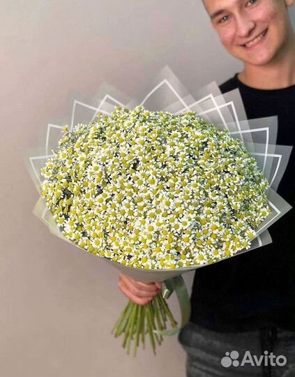 Букеты ромашек