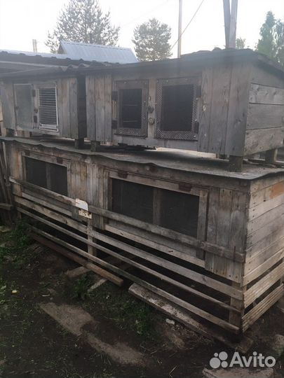 Клетка для кролика