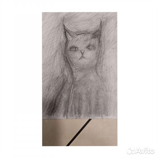 Картина постер кошка кот портрет рисунок карандаш