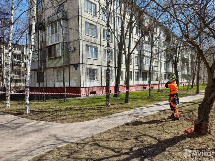 Спилить дерево Измельчить ветки Расчистить участок